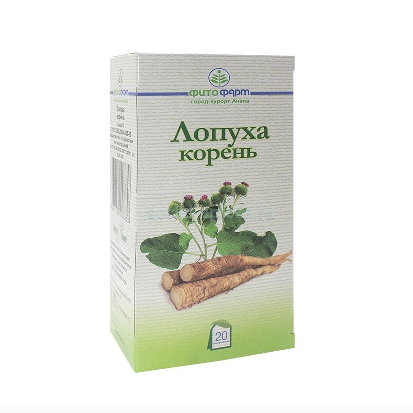 шиповник корень. марена красильная корневища с корнями. корень одуванчика. корень ф. корень ф.