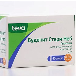 Буденит Стери-Неб сусп дозир д/инг 0.5 мг/мл 2 мл №60