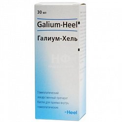 Галиум-Хель капли гомеопат д/приема вн 30 мл
