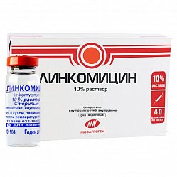 Линкомицин р-р д/ин 10 % 10 мл